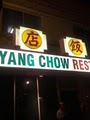 Yang Chow Restaurant image 3