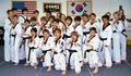 Yim's Taekwondo Institute image 3