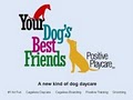 Your Dog's Best Friends logo