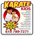 1 Mr A's Martial Arts (Karate, Havertown's Premier Martial Arts school) logo