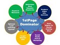 1stPageDominator image 1