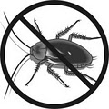 21st Century Termite & Pest image 5