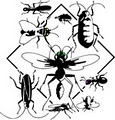 21st Century Termite & Pest image 6