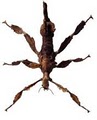 21st Century Termite & Pest image 7