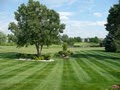 360 Lawn Service image 10