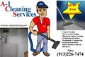 A-1 Cleaning Services Carpet Cleaning image 2