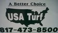 A Better Choice USA Turf image 1