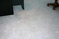 A-Magic Carpet Cleaning - Restoration Services of Pinellas County image 5