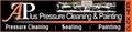 A Plus Pressure Cleaning & Painting logo