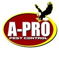 A-Pro Pest Control image 2