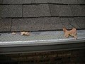 A1 Affordable Chimney Gutters Roofing image 5