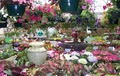 Abner's Garden Center image 2