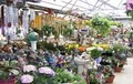 Abner's Garden Center image 3