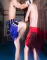 Abq Kickboxing & Martial Arts image 1