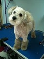 Absolutely Furfect Dog Grooming Salon image 9