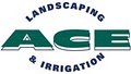 Ace Landscaping & Irrigation logo