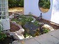 Action Water Gardens Inc. image 2