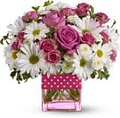 Ali Bleu Flowers & Gifts image 6