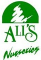 Ali's Nursery & Landscaping image 1