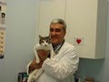 Aliso Viejo Pet Clinic image 1