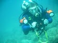 All About Scuba image 4