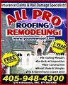 All Pro Roofing image 4