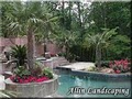 Allin Landscaping of Atlanta image 10