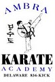 Ambra Karate Academy of Mixed Martial Arts image 4