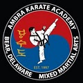 Ambra Karate Academy of Mixed Martial Arts logo