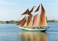 American Rover Sailing Cruises image 1