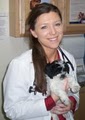 Animal Care Center of Huntington Beach image 1