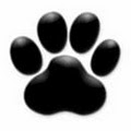 Animal Urgent Care Inc logo