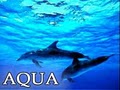 Aqua Surf School image 3