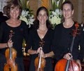 Arioso Strings Inc. image 4