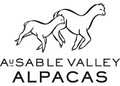 AuSable Valley Alpacas logo