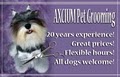 Axcium Pet Grooming image 4