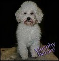 Axcium Pet Grooming image 7