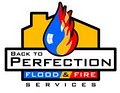 Back To Perfection logo