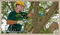 Bartlett Tree Experts image 7
