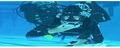 Bay Area Scuba Center image 4