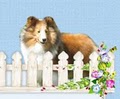 Beckward Blessed Shelties & Toy Poodles logo