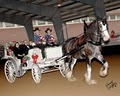 Belle Starre Carriages image 3