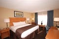 Best Western Berkshire Inn image 10