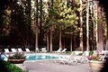 Best Western Big Bear Chateau image 2