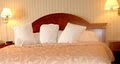 Best Western Fox Valley Inn: Appleton Hotel image 2
