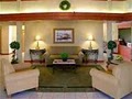 Best Western Inn & Suites at Discovery Kingdom image 2