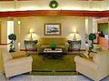 Best Western Inn & Suites at Discovery Kingdom image 7