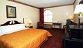 Best Western Music Capital Inn image 3