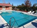 Best Western Orchard Inn Ukiah CA hotel image 5