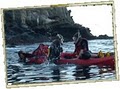 Bike and Kayak Tours, Inc. — La Jolla, CA image 3